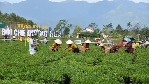 Quảng Ninh xã hội hóa hơn 90% nguồn lực để xây dựng nông thôn mới