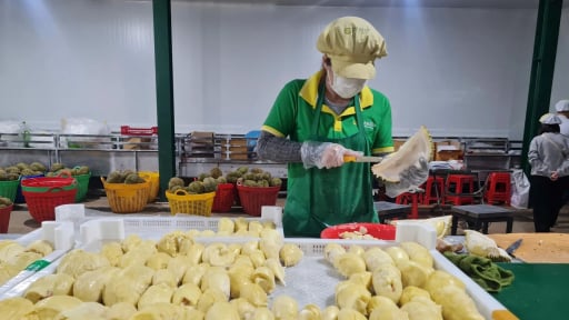 Bộ Nông nghiệp và Môi trường nêu loạt nhiệm vụ, giải pháp xuất khẩu nông sản sang Mỹ, Trung Quốc, EU, phấn đấu cán đích 65 tỷ USD