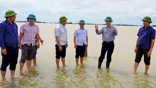 Tỉnh Quảng Trị cần Trung ương hỗ trợ gần 173 tỷ đồng để làm một việc quan trọng