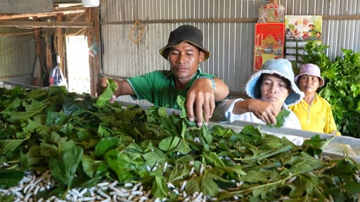 Phó Giám đốc Sở Nông nghiệp và Môi trường tỉnh Lâm Đồng: 5 giải pháp giảm nghèo bền vững vùng nông thôn