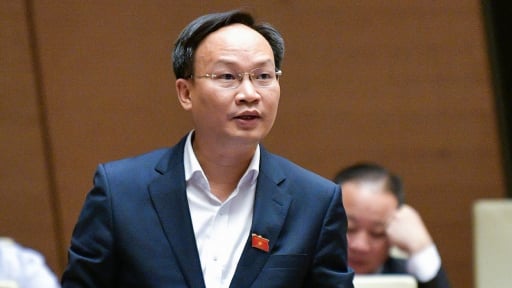 Phó Chủ tịch UBND tỉnh Bắc Ninh livestream bán vải: 'Nếu bà con cần, tôi sẵn sàng làm nữa'