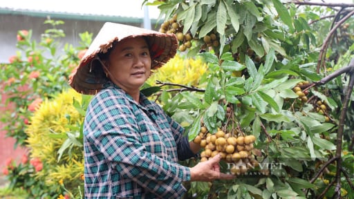 Để nông sản Tây Bắc 'vươn mình', lãnh đạo Sở Nông nghiệp và Môi trường Sơn La, Điện Biên, Lai Châu kiến nghị loạt giải pháp