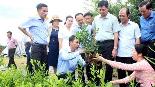 Vì sao OCOP 5 sao Đồng Nai được kỳ vọng sẽ bùng nổ sau khi sáp nhập với Bình Phước?