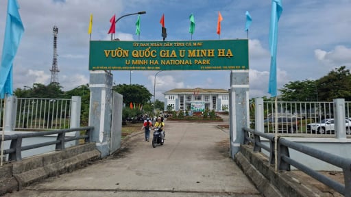 Cà Mau: Cựu Trưởng phòng bị cảnh cáo vì chửi bới, dọa đánh cấp trên vẫn được bổ nhiệm vị trí quản lý