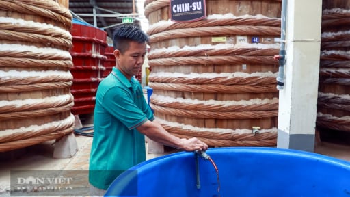 Nhà máy Masan PQ ở Phú Quốc của tỷ phú Nguyễn Đăng Quang đã sản xuất 83 triệu lít nước mắm cốt  