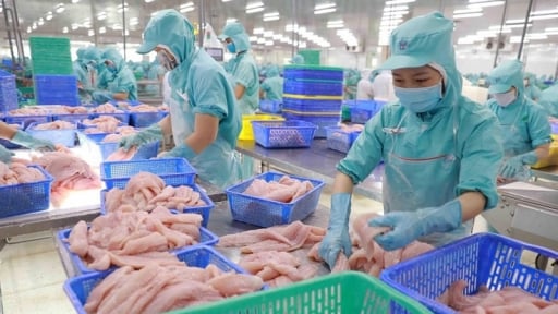 Việt Nam đang là nguồn cung lớn và không thể thay thế các loại cá tra, tôm, cá ngừ, ghẹ đỏ cho Mỹ