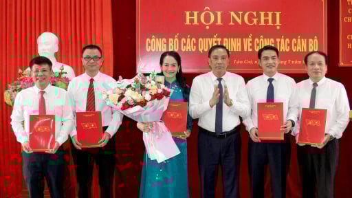 Điều động, bổ nhiệm 5 Phó Tổng Biên tập Báo và PTTH tỉnh Lào Cai 