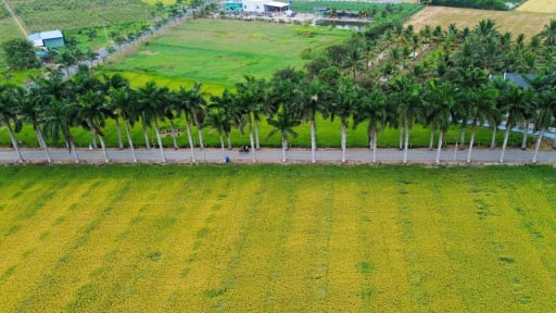Từ con lộ sình lầy đến con đường hạnh phúc nổi tiếng miền Tây: Sức mạnh của sự đồng lòng (Bài 2)
