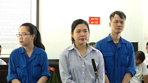 Chiếm đoạt hàng chục tỷ đồng qua huy động vốn kinh doanh online