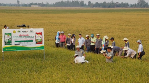 Áp mức thuế GTGT 5% đối với phân bón từ tháng 7/2025
