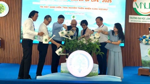 Cục Lâm nghiệp và Kiểm lâm cùng doanh nghiệp dự định trồng thêm 60ha rừng đầu nguồn tại các tỉnh Thái Nguyên, Đồng Nai, Tây Ninh mới