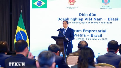 Đối tác Chiến lược Việt Nam-Brazil: 'Quan hệ kinh tế luôn là trụ cột quan trọng'