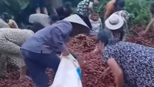 Công an vào cuộc xác minh vụ nữ tài xế lái xe tải gặp nạn, hàng tấn vải rơi ra đường, người dân nhặt gần hết