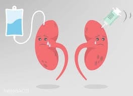 Ăn nhiều 3 món khoái khẩu này, thận âm thầm “kêu cứu” mà bạn không hề hay biết