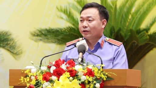 Hà Nội: Tòa án tạm đình chỉ 1 bị cáo do hết thời hạn chuẩn bị xét xử nhưng không biết rõ bị cáo đang ở đâu