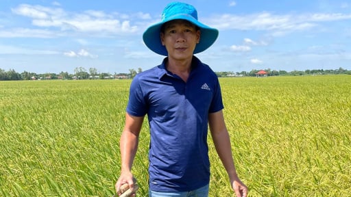 Trai làng ở An Giang liên kết với nông dân đi tìm con đường trồng lúa sạch