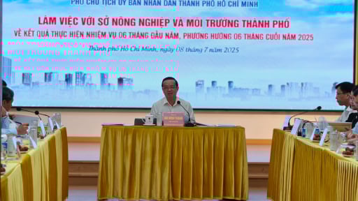 Phó chủ tịch TP.HCM yêu cầu sớm thống nhất phương án sử dụng bảng giá đất cho TP.HCM mới