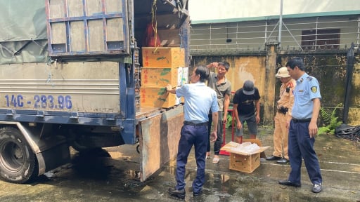 Trong tháng 6, Quảng Ninh xử phạt hơn 1,6 tỷ đồng về vi phạm an toàn thực phẩm 