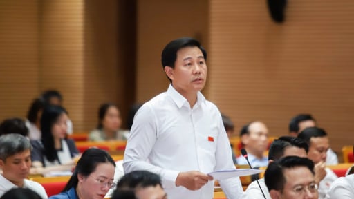 Giám đốc Sở của Hà Nội nói gì về việc “rau chiều hôm trước vừa phun thuốc, sáng hôm sau mang ra chợ bán”?