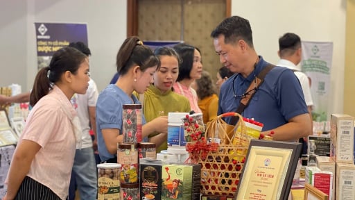 Hàng chục doanh nghiệp nước ngoài đến Quảng Trị tìm cơ hội hợp tác đầu tư
