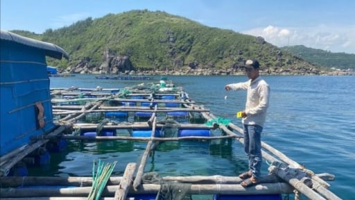 Bắt nam thanh niên ở Đắk Lắk rủ 3 người trộm tôm hùm của chủ nuôi