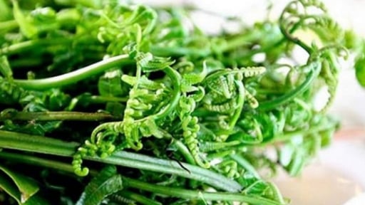 Những loại rau rừng chị đẹp Bản Liền đem ra đãi dàn nghệ sĩ Gia đình Haha toàn là đặc sản, còn là vị thuốc quý
