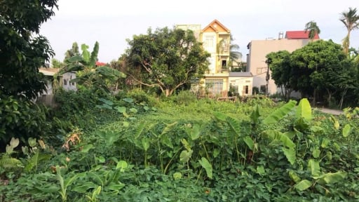 Được Trung ương cho phép, TP Hải Phòng sẽ thu hồi, đấu giá các thửa đất xen kẹt, có mảnh siêu bé, chỉ 0,5m2