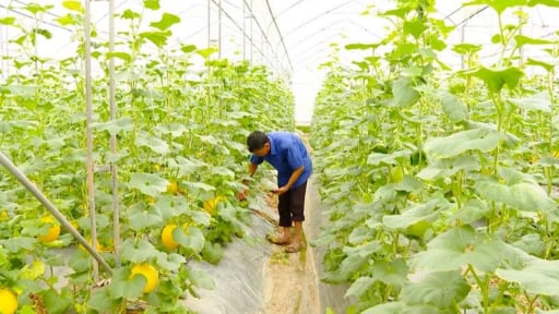 UBND tỉnh Ninh Bình yêu cầu thực hiện một cuộc điều tra quan trọng, sau một tuần về 'chung nhà' với tỉnh Nam Định, Hà Nam