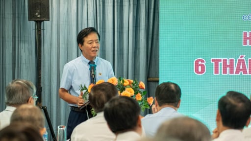 Công ty Cổ phần Phân bón Bình Điền sơ kết 6 tháng đầu năm: Kỳ vọng mở ra giai đoạn phá triển mới