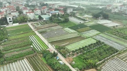 Thực tế giá đất vừa thấp vừa cao: Nghịch lý đang làm khó thực thi Luật Đất đai 2024?