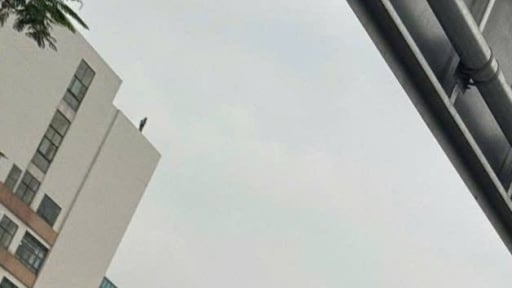 Đang giải cứu người phụ nữ ôm theo cháu nhỏ trèo lên nóc Bệnh viện Bạch Mai