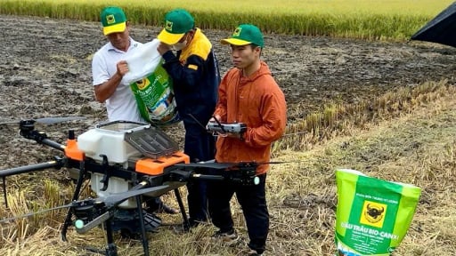 Giải mã cặp đôi 'Bio và Canxi' - Chìa khóa cho canh tác lúa bền vững ở ĐBSCL