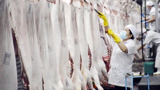 Đối phó với thực phẩm bẩn, doanh nghiệp TP.HCM tăng cường truy xuất nguồn gốc hàng hóa