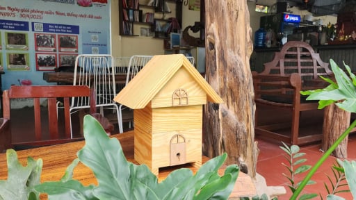 Nuôi Ong dú trong 'biệt thự mini' xinh xắn, trai phố Sài thành làm 'liệu pháp xanh' cho người thành thị