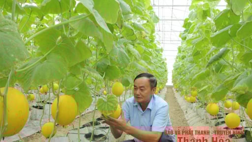 Từng hoạt động yếu kém, HTX này ở Thanh Hóa đầu tư làm cái gì mà bất ngờ 'lột xác', có 2 sản phẩm đạt 4 sao OCOP?
