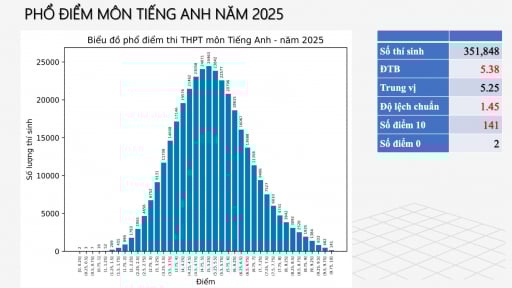 Phổ điểm môn tiếng Anh tốt nghiệp THPT 2025: Tỉnh thành nào có nhiều điểm 10 nhất?