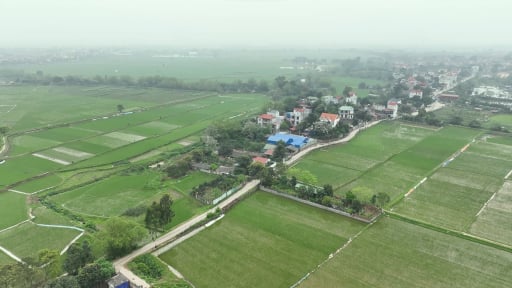 Chuyển đổi đất nông nghiệp sang đất ở: Mức thu tiền sử dụng đất cần linh hoạt, tránh máy móc