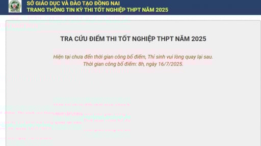 Tra cứu điểm thi tốt nghiệp THPT 2025 Đồng Nai theo cách này chuẩn nhất
