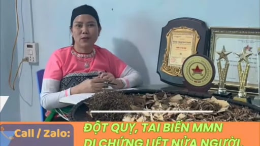Lời gian dối dưới chân núi Tản: Chiêu trò “phông bạt” cho “thần y” (Bài cuối)