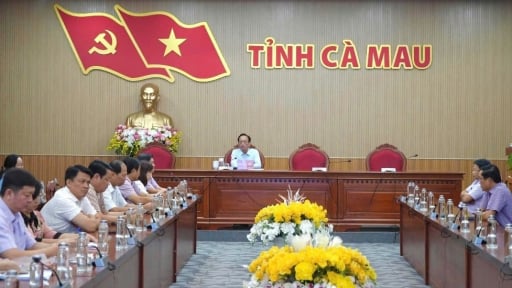 Tiến độ một cuộc điều tra quan trọng đang chậm sau sáp nhập Bạc Liêu, lãnh đạo tỉnh Cà Mau yêu cầu không làm hình thức