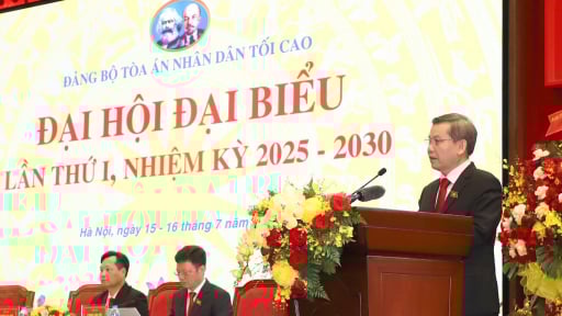 Công bố Quyết định chỉ định nhân sự tham gia Ban Chấp hành Đảng ủy Tòa án nhân dân tối cao