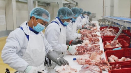 Ngành chăn nuôi đặt mục tiêu xuất khẩu trên 550 triệu USD năm 2025