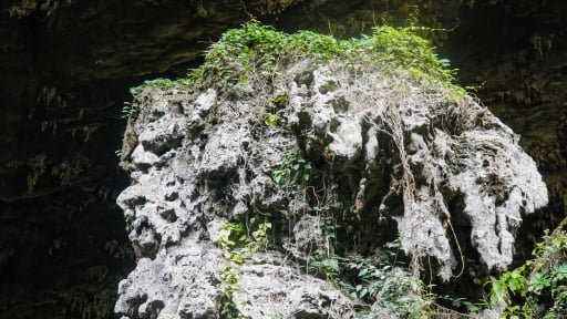Hang động bí ẩn và hoang sơ là 'vương quốc' của 4 loài dơi tại Khu bảo tồn thiên nhiên Pù Luông
