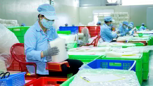 OCOP Tây Ninh có món bánh tráng mỏng tang mà mỗi tháng xuất khẩu 9 tấn, nhiều món khác rầm rộ 'bơi biển lớn'