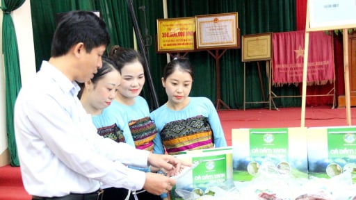 Một xã của tỉnh Hòa Bình cũ mang về tỉnh mới Phú Thọ loài cá quý, chỉ sống nơi sạch sẽ, bán một con là có tiền triệu