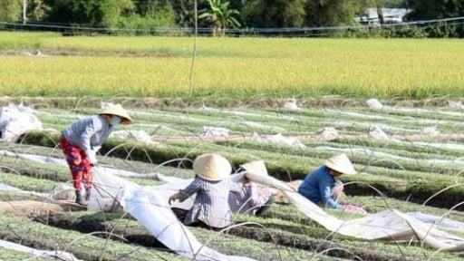 Tuyến ĐT 827E nối TP.HCM với ĐBSCL qua tỉnh Tây Ninh mới sắp có 3 cây cầu lớn, người dân mong đời sống đổi thay