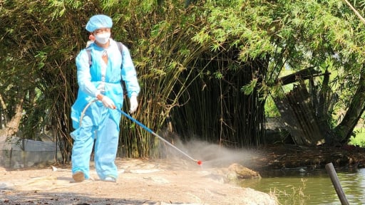 Lo ngại đứt gãy các trạm chuyên môn ngành dọc nông nghiệp sau khi bỏ cấp huyện, TP.Cần Thơ đề xuất ngay một giải pháp