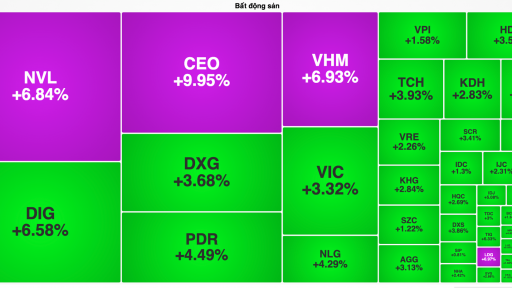 Cổ phiếu bất động sản: NVL, VHM và CEO... tăng kịch trần, tạo đà đưa VN-Index áp sát vùng đỉnh 1.500 điểm