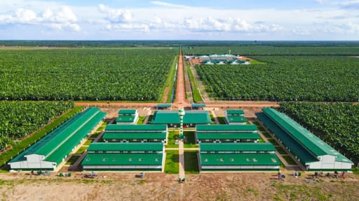 Hé lộ tên 2 doanh nghiệp lớn được vay gần 140 triệu USD từ nước ngoài để thúc đẩy sản xuất kinh doanh