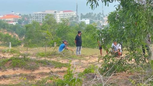 Công an điều tra người đàn ông tử vong trong tư thế treo cổ dưới tán cây trên đồi cát